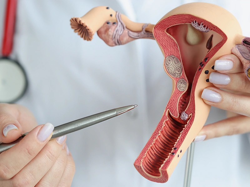 Vaginal Tightening: How To Tighten Vaginal Walls